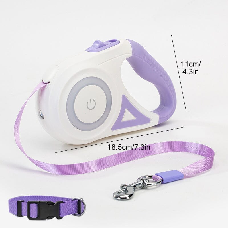 Dog Light Leash