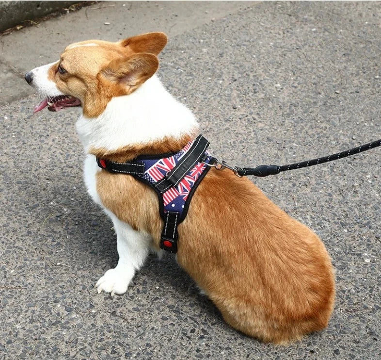 Nylon Heavy Duty Dog Harness Collar