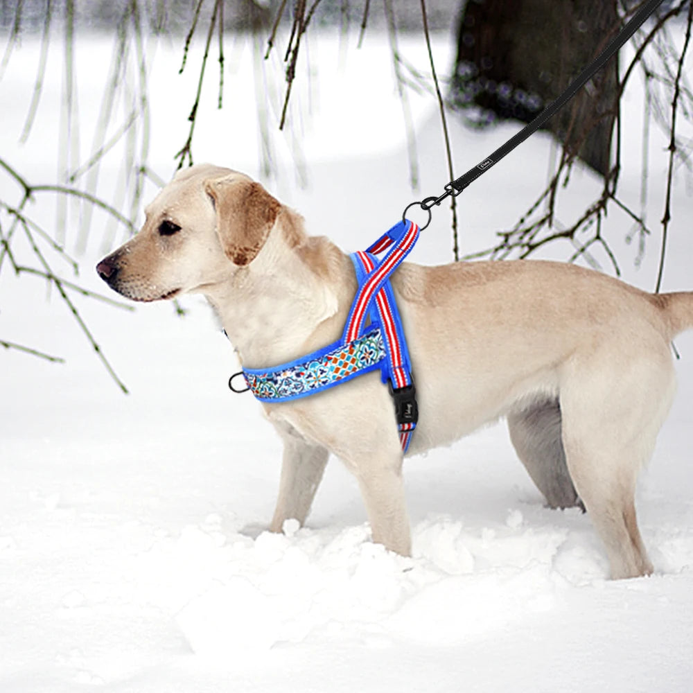 Dog Harness Vest