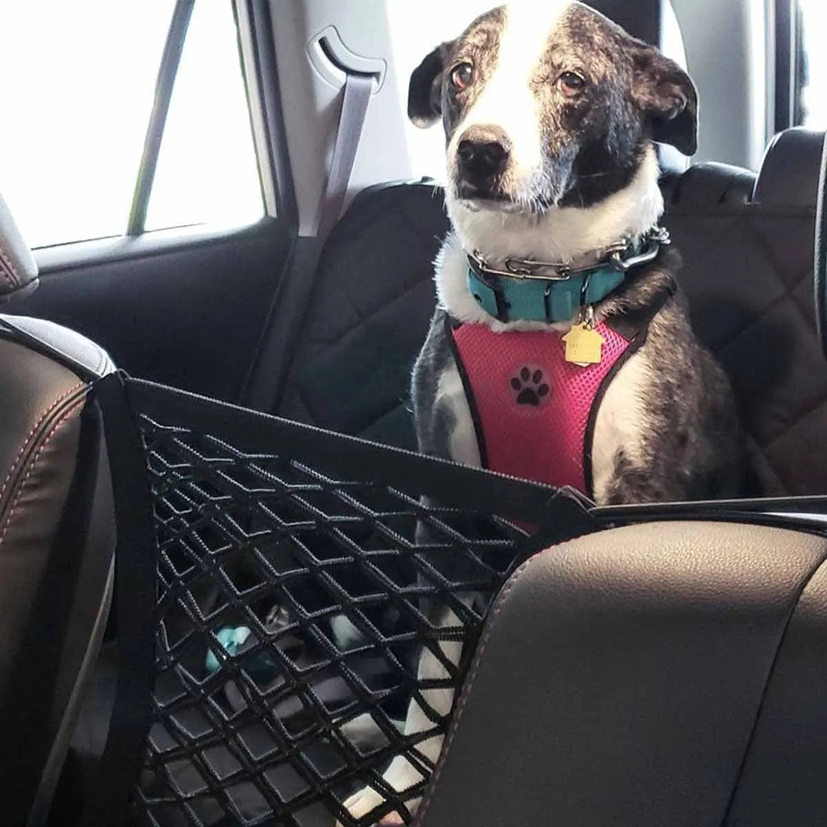 Pet Dog Rear Seat Car Fence