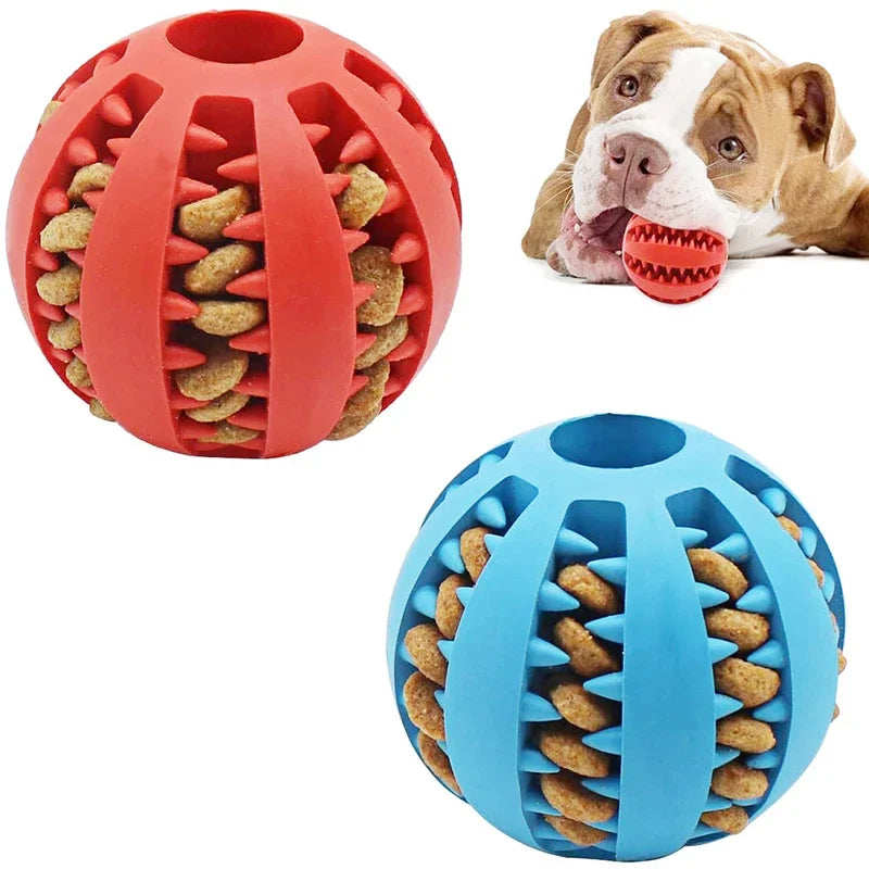 Interactive Elasticity Dog Chew Toy