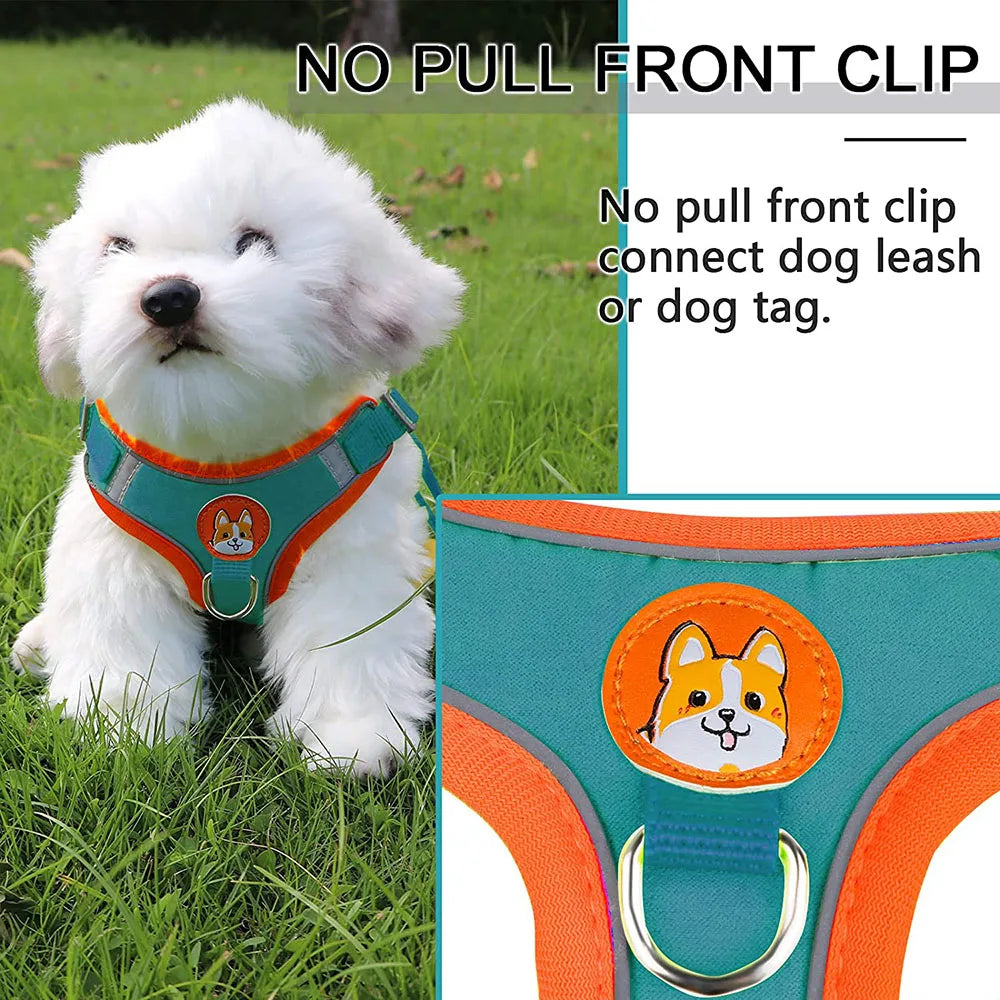 Step-in Dog Harness Harness and Leash Set