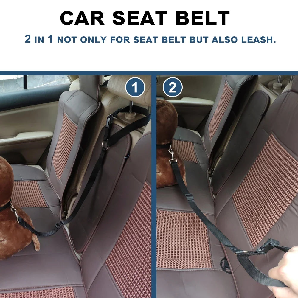 2-in-1 Pet Seat Belt Leash