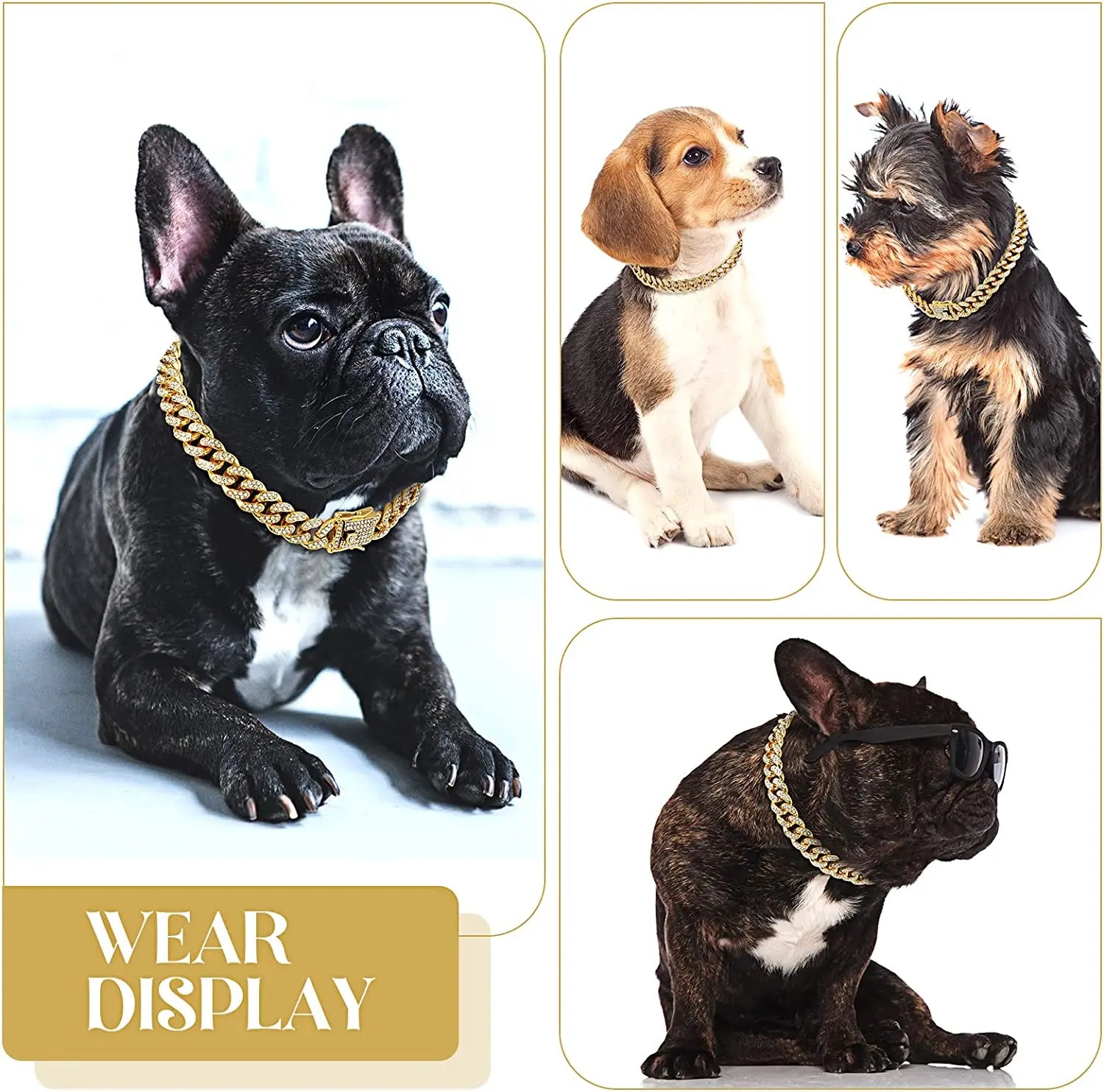 Luxury Gold Pet Chain Collar