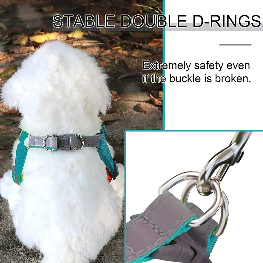 Step-in Dog Harness Harness and Leash Set