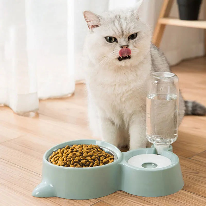 Pet Food & Automatic Water Fountain Bowl