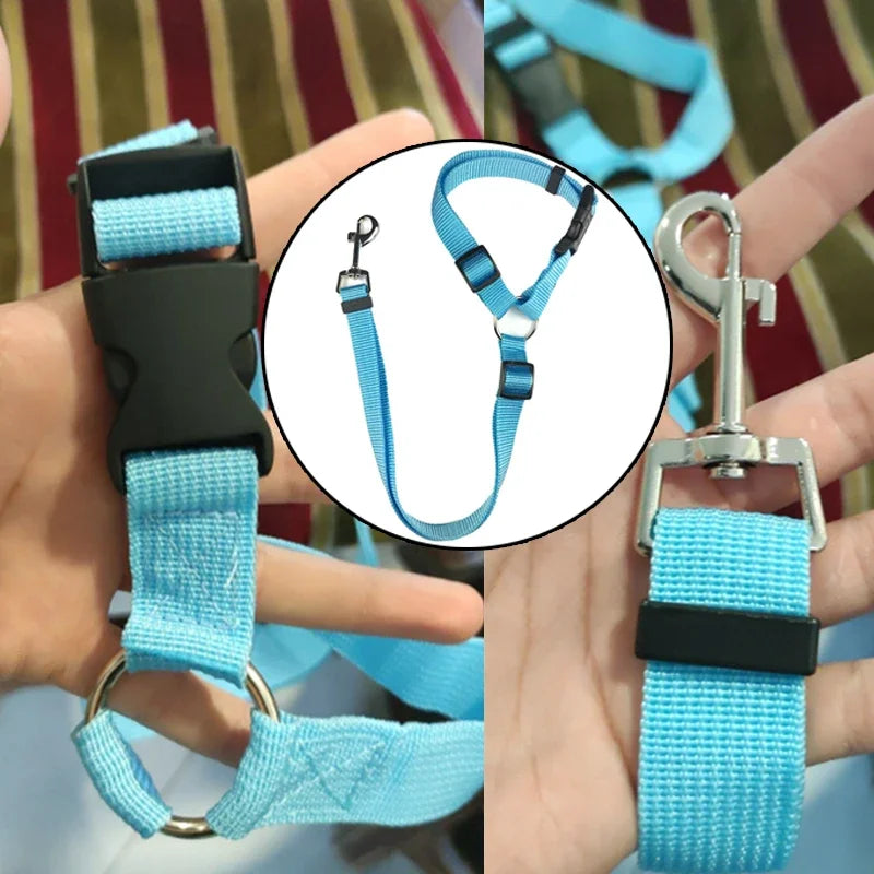 2-in-1 Pet Seat Belt Leash