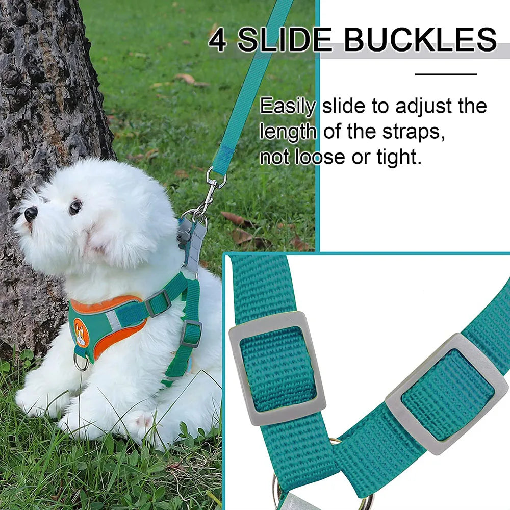 Step-in Dog Harness Harness and Leash Set