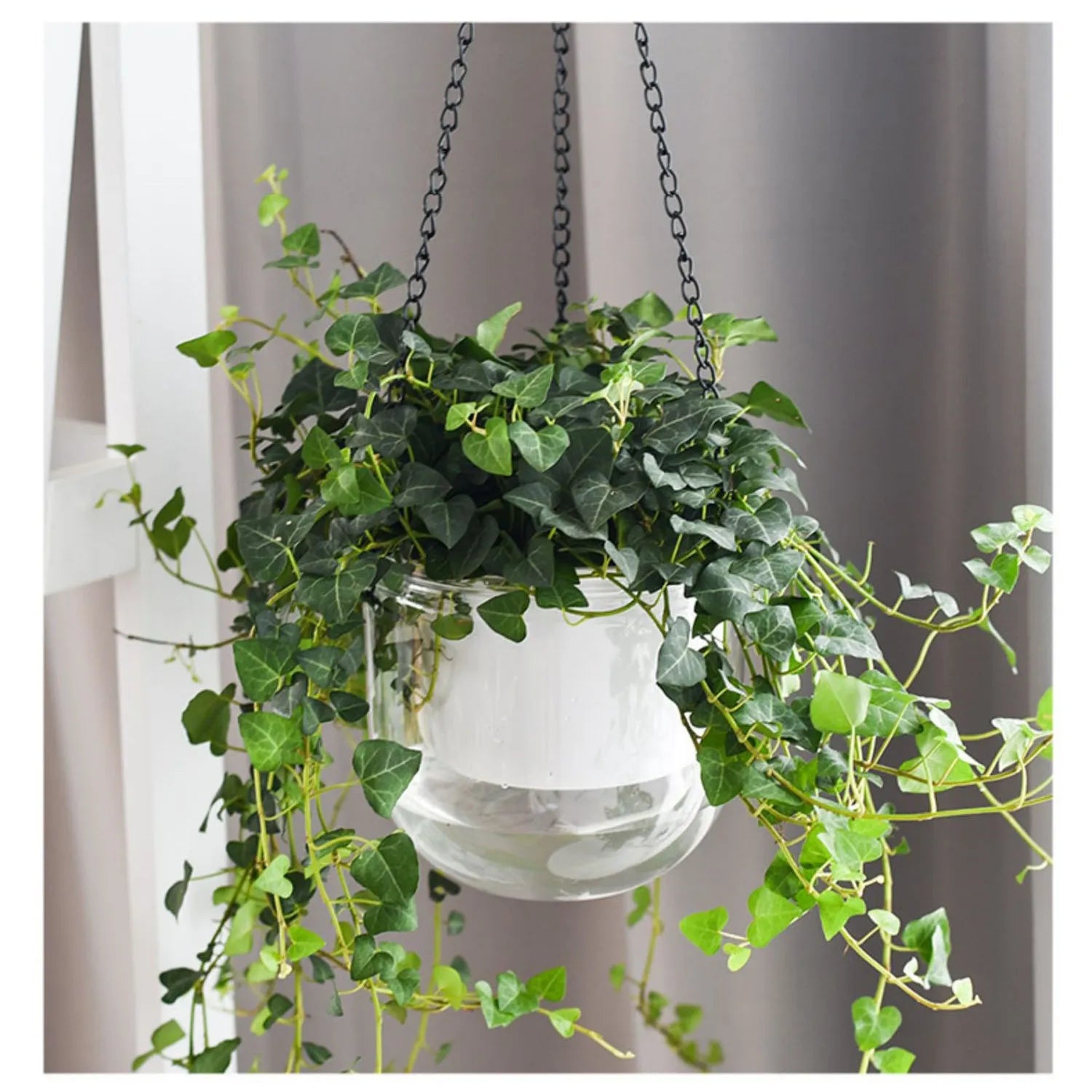 Hanging Flowerpot Self Absorbing Water Pot