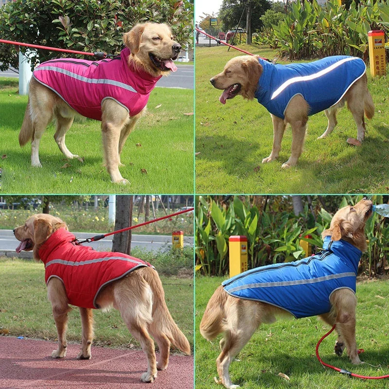 Waterproof Dog Clothes for Large Dogs