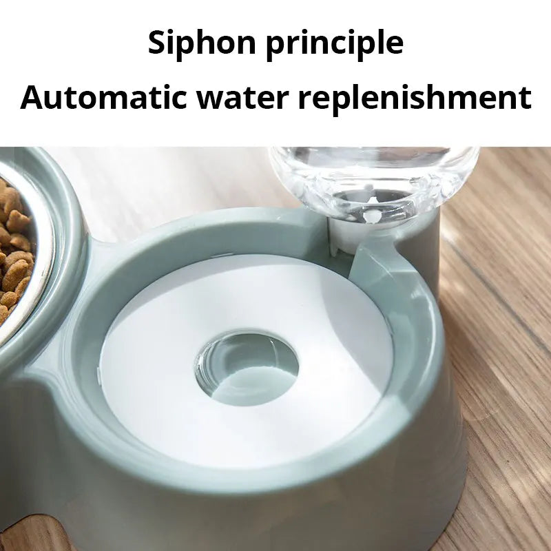 Pet Food & Automatic Water Fountain Bowl