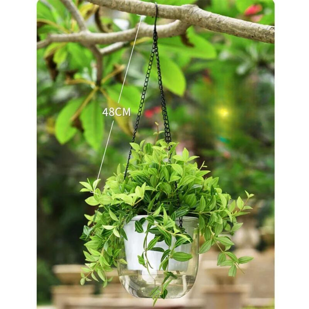 Hanging Flowerpot Self Absorbing Water Pot